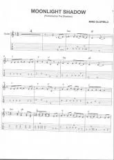 télécharger la partition d'accordéon Moonlight Shadow (Chant : The Shadows) au format PDF