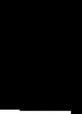 télécharger la partition d'accordéon Pasos et Sombreros au format PDF