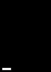télécharger la partition d'accordéon La chanson de Craonne au format PDF