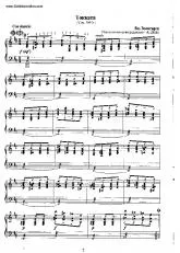 télécharger la partition d'accordéon Toccata au format PDF