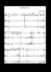 télécharger la partition d'accordéon La panthère rose (Arrangement S Delahaye) au format PDF