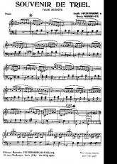 télécharger la partition d'accordéon Souvenir de Triel (Valse Musette) au format PDF