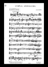 télécharger la partition d'accordéon Copla Andaluza (Paso Doble Flamenco) au format PDF