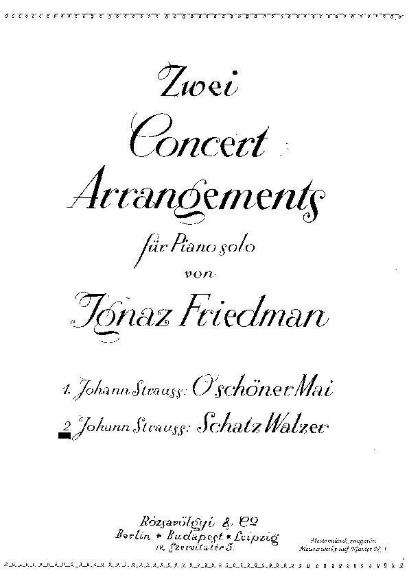 télécharger la partition d'accordéon Schatz Walzer (Zwei Concert arrangements für Piano Solo von Ignaz Friedman) au format PDF