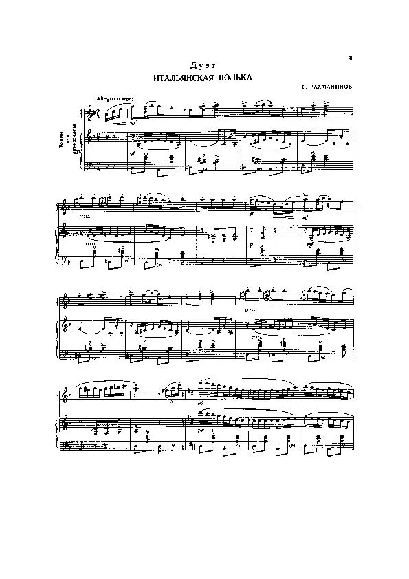 télécharger la partition d'accordéon Italian Polka (Duo d'Accordéons) au format PDF