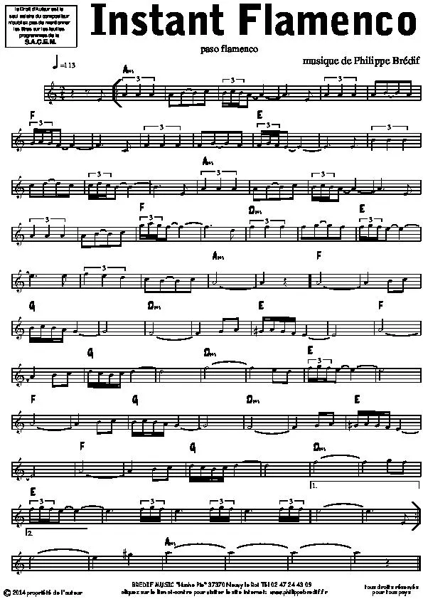 télécharger la partition d'accordéon Instants Flamenco (Paso Doble) au format PDF