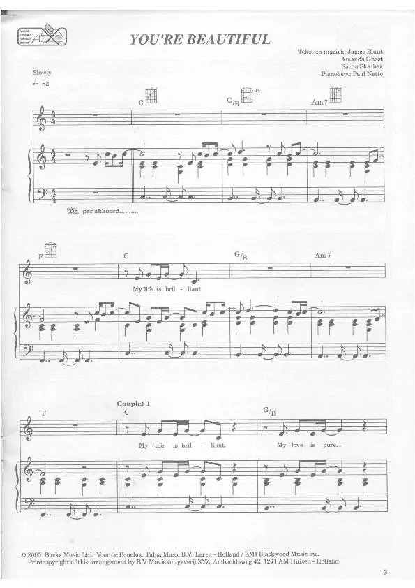 télécharger la partition d'accordéon You're beautiful (Soft Rock) au format PDF