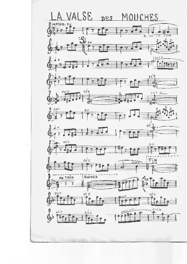 télécharger la partition d'accordéon La valse des mouches (Manuscrite) au format PDF