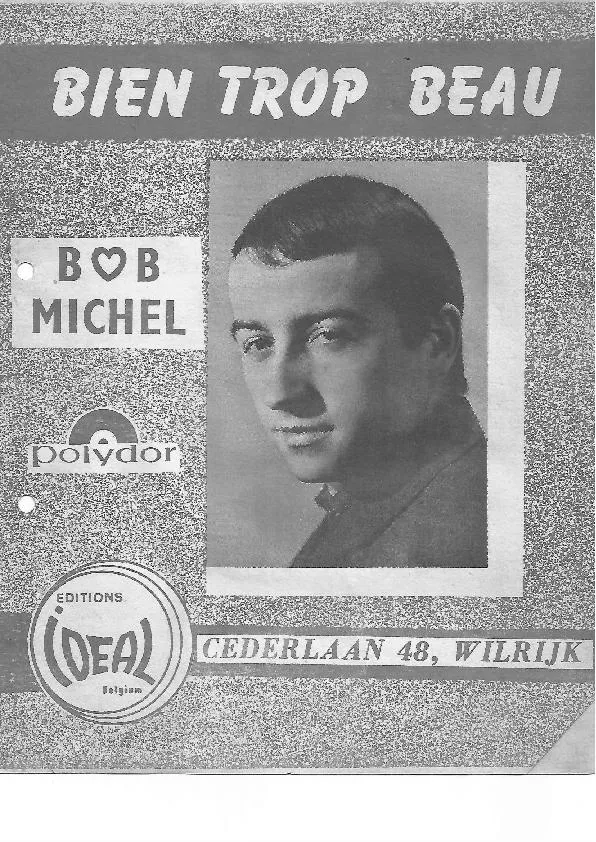 télécharger la partition d'accordéon Bien trop beau (Chant : Bob Michel) au format PDF