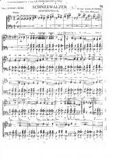 télécharger la partition d'accordéon Schneewalzer (Sneeuwwals) (Arrangement : Jack Bulterman) au format PDF