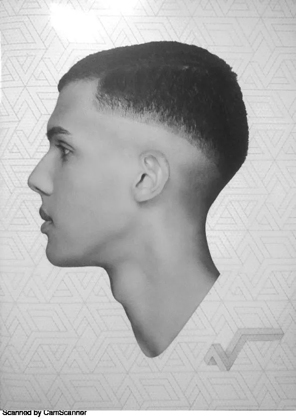 télécharger la partition d'accordéon Stromae Racine Carrée P V G (12 Titres) au format PDF