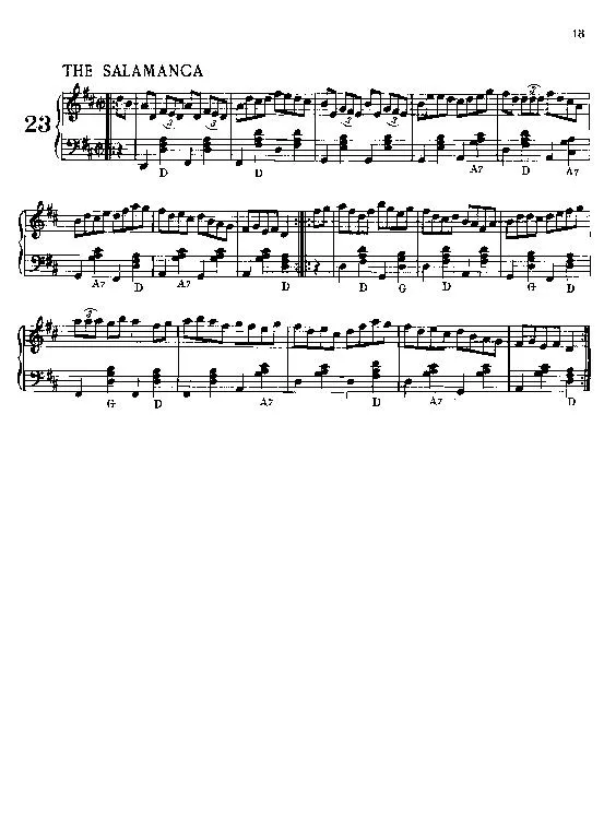 télécharger la partition d'accordéon The Salamanca (Reel) au format PDF