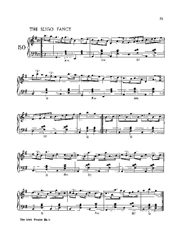 télécharger la partition d'accordéon The Sligo fancy (Folk) au format PDF