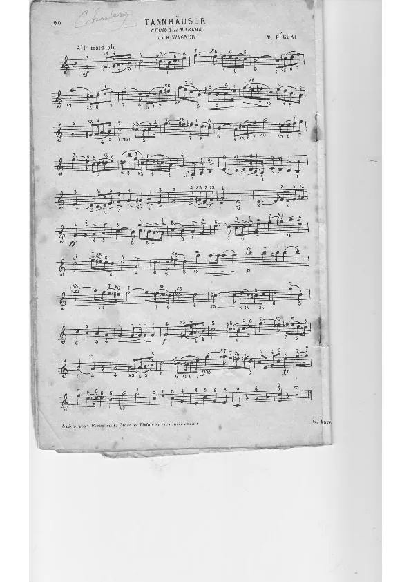 télécharger la partition d'accordéon Tannhäuser (Arrangement pour accordéon de Michel Péguri) (Marche) au format PDF