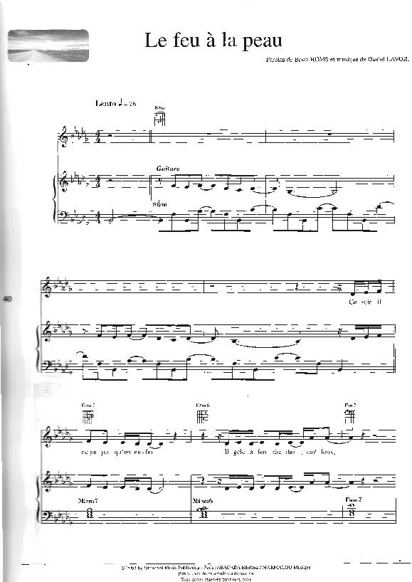 télécharger la partition d'accordéon Le feu à la peau (Chant : Florent Pagny) (Slow) au format PDF