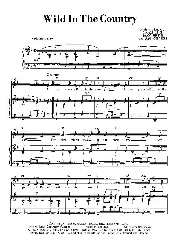 télécharger la partition d'accordéon Wild in the country (Chant : Elvis Presley) (Slow Rock) au format PDF