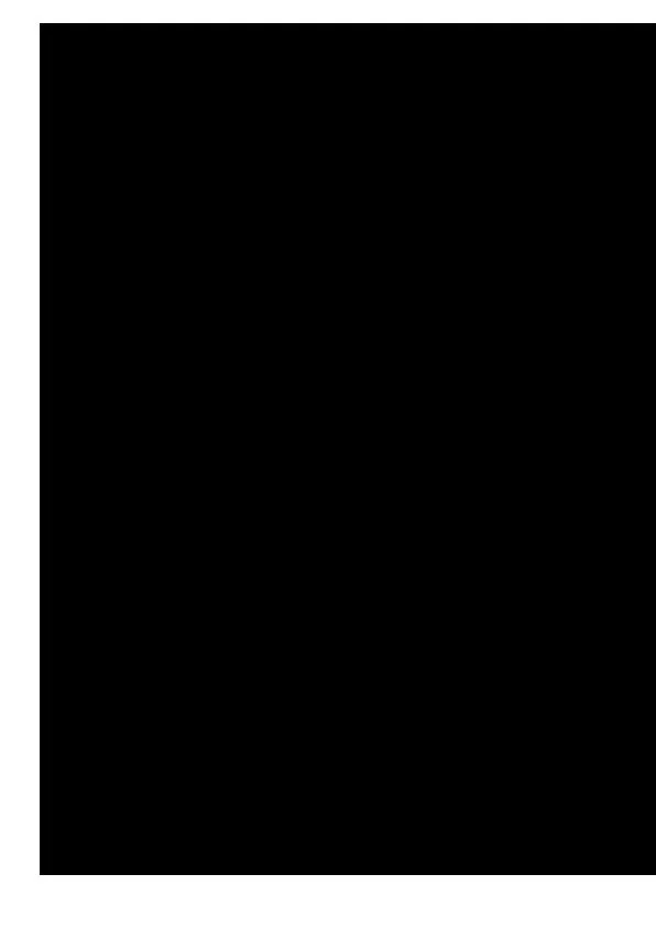 télécharger la partition d'accordéon Hungarian March - Rakoczy (Accordéon) au format PDF