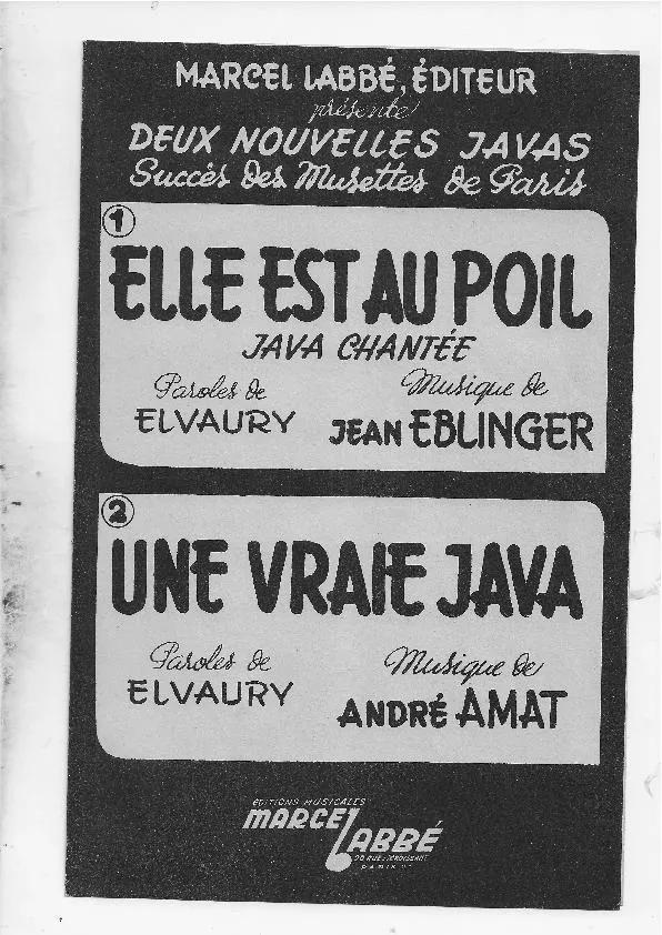 télécharger la partition d'accordéon Une vraie java (Orchestration) au format PDF