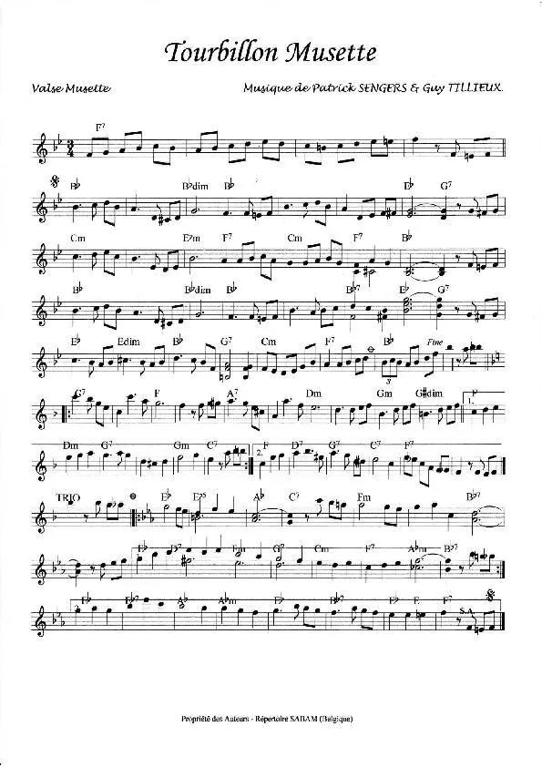 télécharger la partition d'accordéon Tourbillon musette (Valse) au format PDF