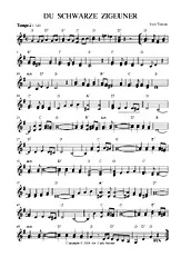 télécharger la partition d'accordéon DU SCHWARZE ZIGEUNER ARR. CARLA sTEINER au format PDF
