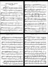 télécharger la partition d'accordéon Beautiful Days au format PDF
