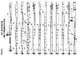 télécharger la partition d'accordéon LE DANSEUR DE CHARLESTON au format PDF