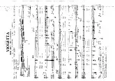 télécharger la partition d'accordéon Violetta (Hör mein Lied Violetta) au format PDF