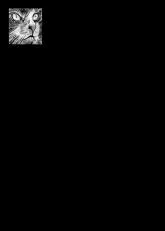 télécharger la partition d'accordéon Le Petit Chat Boris au format PDF