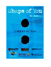 télécharger la partition d'accordéon Shape of you au format PDF